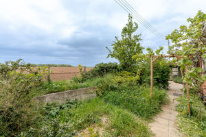 Garden- click for photo gallery